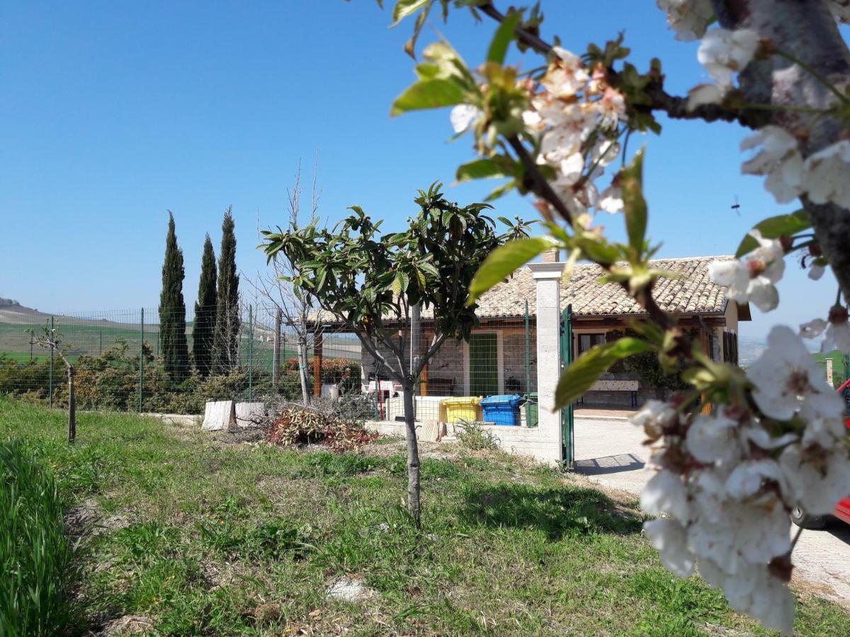 Villa Lemme Montenero di Bisaccia Eksteriør bilde